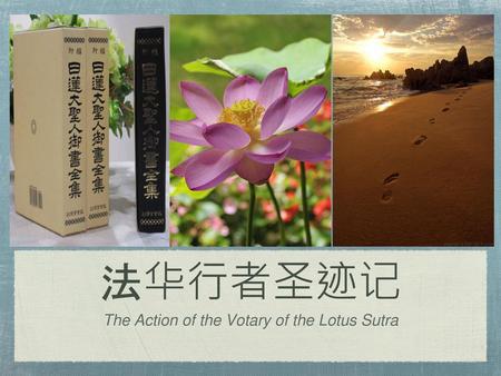 The Action of the Votary of the Lotus Sutra