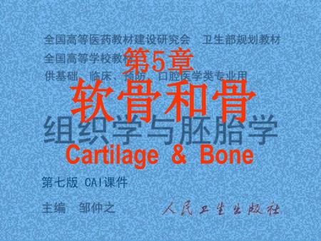 第5章 软骨和骨 Cartilage & Bone.