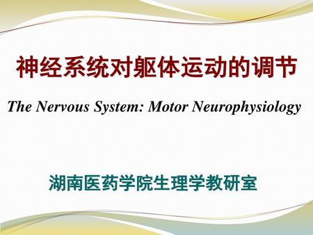 神经系统对躯体运动的调节 The Nervous System: Motor Neurophysiology 湖南医药学院生理学教研室.