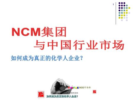 NCM集团 与中国行业市场 如何成为真正的化学人企业？ NCM与国民经济-纲领性资料.