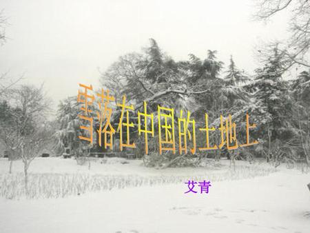 雪落在中国的土地上 艾青.