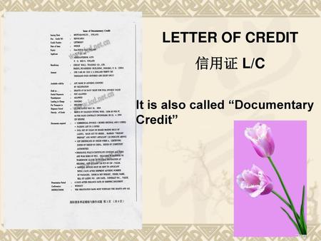 LETTER OF CREDIT 信用证 L/C