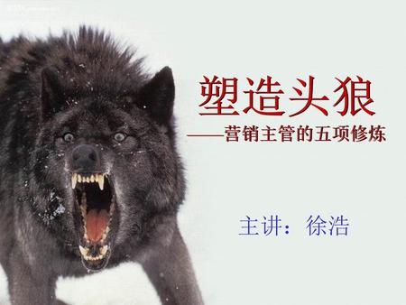 塑造头狼 ——营销主管的五项修炼 主讲：徐浩.