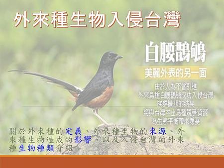 關於外來種的定義、外來種生物的來源、外 來種生物造成的影響、以及入侵台灣的外來 種生物種類介紹