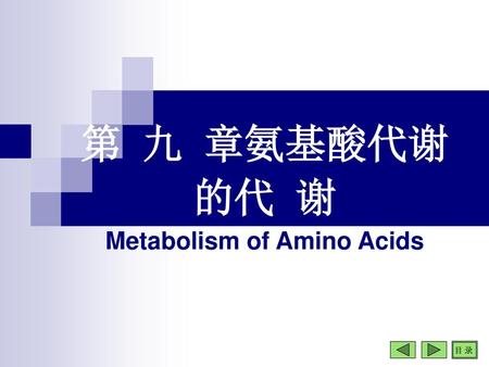 第 九 章氨基酸代谢的代 谢 Metabolism of Amino Acids