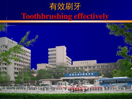 有效刷牙 Toothbrushing effectively