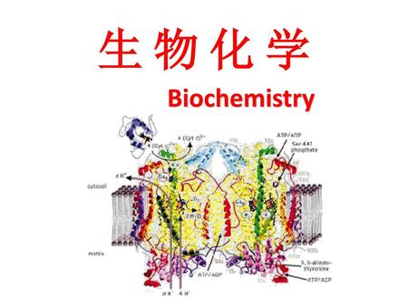 生 物 化 学 Biochemistry.
