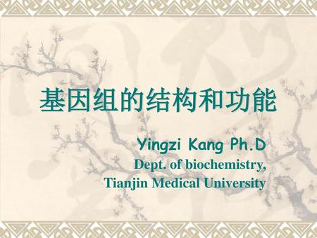 Yingzi Kang Ph.D Dept. of biochemistry, Tianjin Medical University