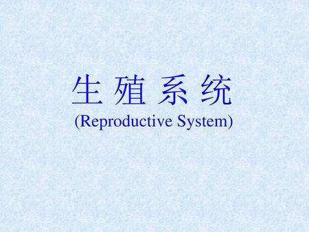 (Reproductive System)