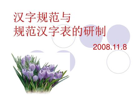 汉字规范与 规范汉字表的研制 2008.11.8.
