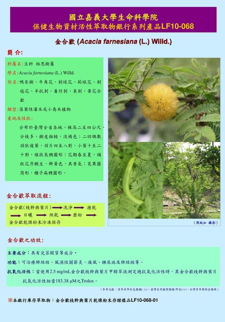 保健生物資材活性萃取物銀行系列產品LF 金合歡 (Acacia farnesiana (L.) Willd.)