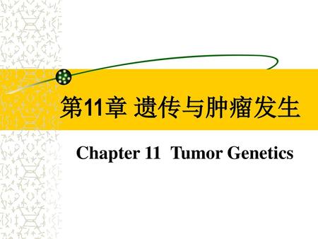 Chapter 11 Tumor Genetics