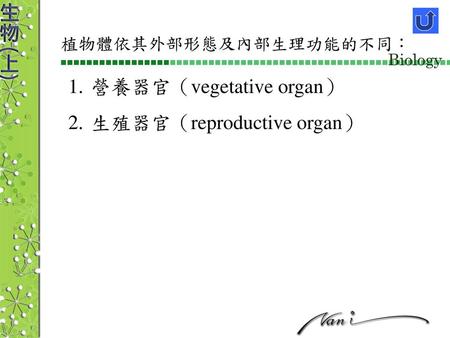 營養器官（vegetative organ） 生殖器官（reproductive organ）