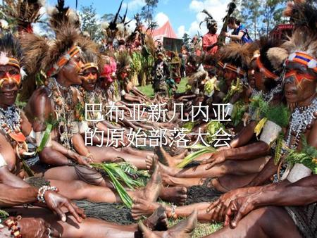 巴布亚新几内亚 的原始部落大会.