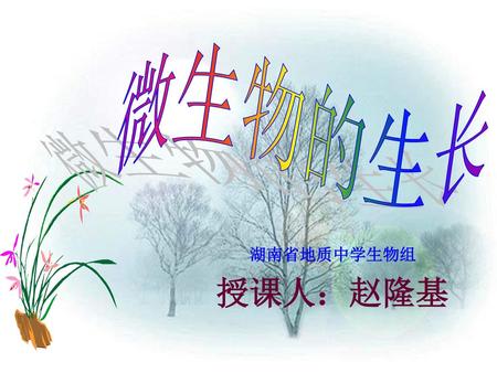 微生物的生长 湖南省地质中学生物组 授课人：赵隆基.