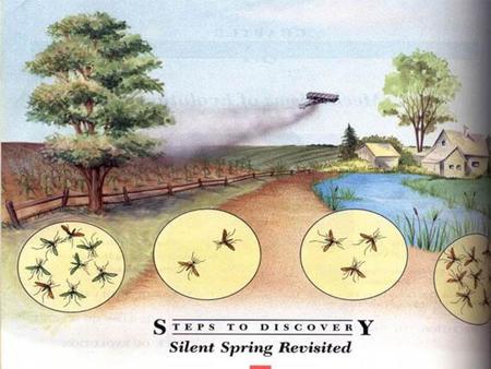 发明 DDT DDT－ 跳蚤－斑疹伤寒 战后大面积灭蚊 1961 “silent spring”( Rachel Carson) 美国成立环保局 1972 颁令禁用 DDT.