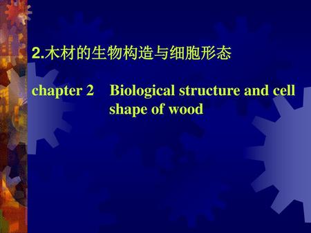 2.木材的生物构造与细胞形态 chapter 2 Biological structure and cell shape of wood