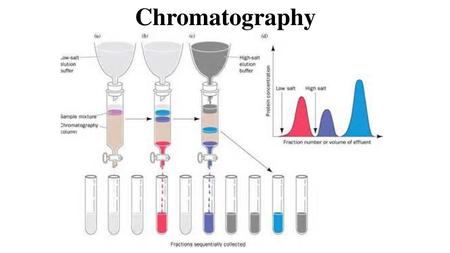 Chromatography.