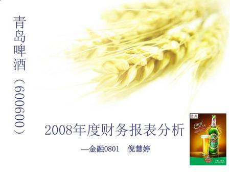 青岛啤酒（600600） 2008年度财务报表分析 —金融0801 倪慧婷.