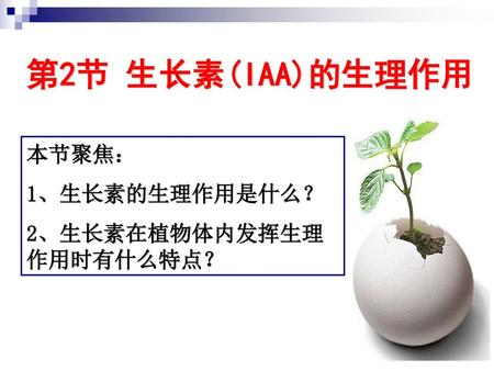 第2节 生长素(IAA)的生理作用 本节聚焦： 1、生长素的生理作用是什么？ 2、生长素在植物体内发挥生理作用时有什么特点？