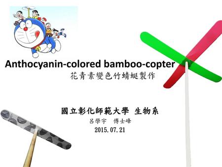 Anthocyanin-colored bamboo-copter
