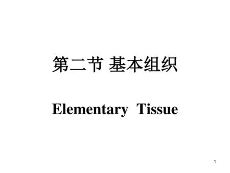 第二节 基本组织 Elementary Tissue.