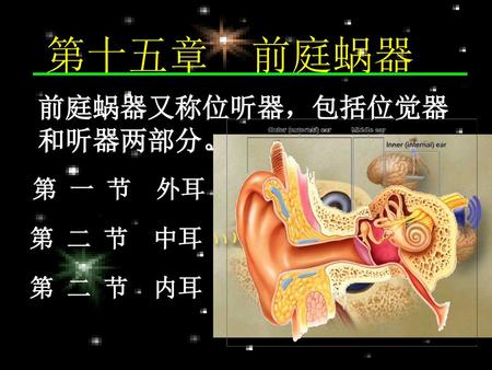 第十五章 前庭蜗器 前庭蜗器又称位听器，包括位觉器和听器两部分。 第 一 节 外耳 第 二 节 中耳 第 二 节 内耳.