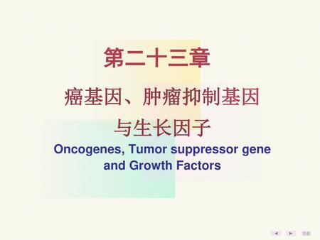 癌基因、肿瘤抑制基因 与生长因子 Oncogenes, Tumor suppressor gene and Growth Factors