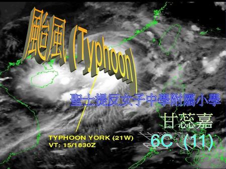 颱風 (Typhoon) 聖士提反女子中學附屬小學 甘蕊嘉 6C (11).