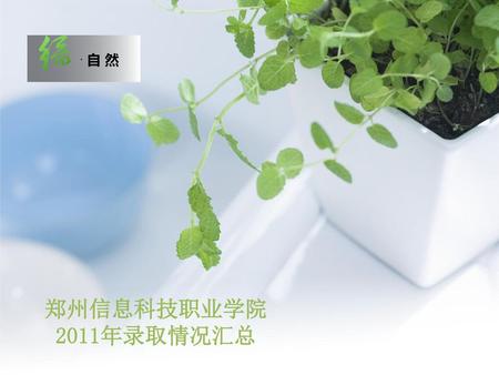· 自 然 郑州信息科技职业学院2011年录取情况汇总.