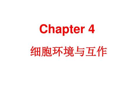 Chapter 4 细胞环境与互作.
