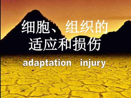 细胞、组织的 适应和损伤 adaptation injury.