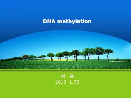 DNA methylation 刘 丹 2010. 1.20.