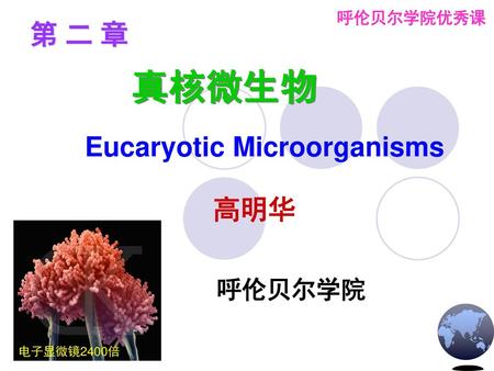 呼伦贝尔学院优秀课 第 二 章 真核微生物 Eucaryotic Microorganisms 高明华 呼伦贝尔学院 电子显微镜2400倍.