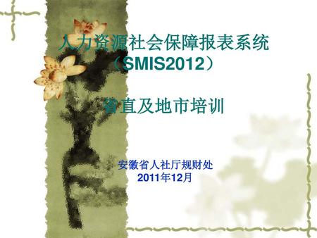 人力资源社会保障报表系统 （SMIS2012） 省直及地市培训