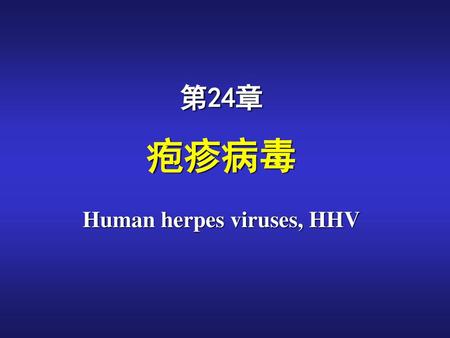 疱疹病毒 Human herpes viruses, HHV