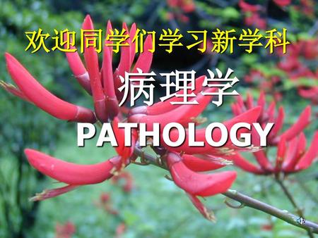欢迎同学们学习新学科 病理学 PATHOLOGY.