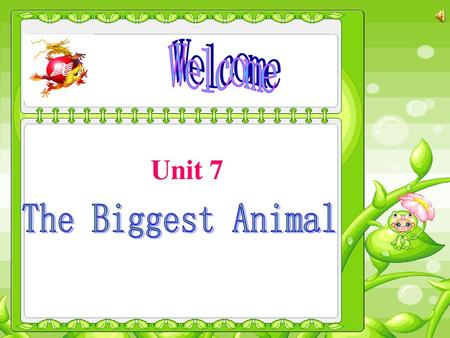 Welcome Unit 7 The Biggest Animal.