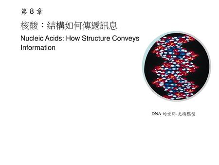 第 8 章 核酸：結構如何傳遞訊息 Nucleic Acids: How Structure Conveys Information.