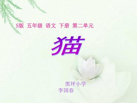 S版 五年级 语文 下册 第二单元 猫 黑坪小学 李国春.