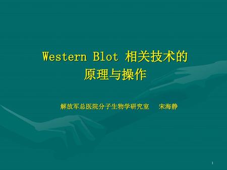 Western Blot 相关技术的 原理与操作 解放军总医院分子生物学研究室 宋海静