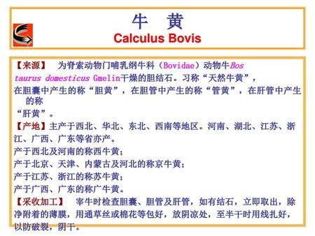 牛 黄 Calculus Bovis 【来源】 为脊索动物门哺乳纲牛科（Bovidae）动物牛Bos