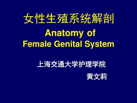 女性生殖系统解剖 Anatomy of Female Genital System