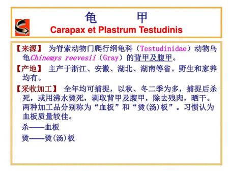 Carapax et Plastrum Testudinis