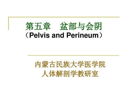 第五章 盆部与会阴 （Pelvis and Perineum）