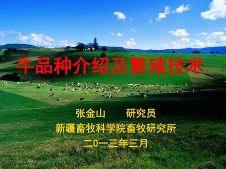 牛品种介绍及繁殖技术 张金山 研究员 新疆畜牧科学院畜牧研究所 二0一三年三月.