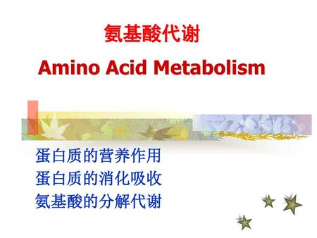 氨基酸代谢 Amino Acid Metabolism 蛋白质的营养作用 蛋白质的消化吸收 氨基酸的分解代谢.