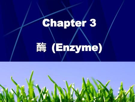 Chapter 3 酶 (Enzyme).