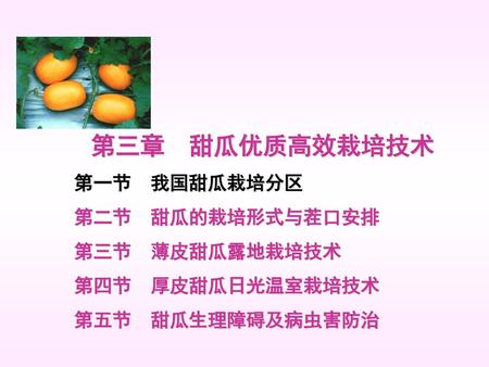 第三章 甜瓜优质高效栽培技术 第一节 我国甜瓜栽培分区 第二节 甜瓜的栽培形式与茬口安排 第三节 薄皮甜瓜露地栽培技术