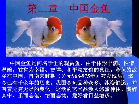 第二章　中国金鱼 中国金鱼是闻名于世的观赏鱼，由于体形丰满、性情温婉，被誉为幸福、吉祥、和平与友谊的象征。金鱼的故乡在中国，自南宋时期（公元968-975年）被发现后，迄今已有千余年的历史。我国金鱼品种众多、泳姿舒逸，并有着无穷无尽的变化。这活的艺术品教人悠然神往、陶醉其中、乐而忘倦、怡而忘忧，爱好者日益增多。